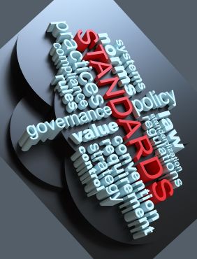 2 company standards